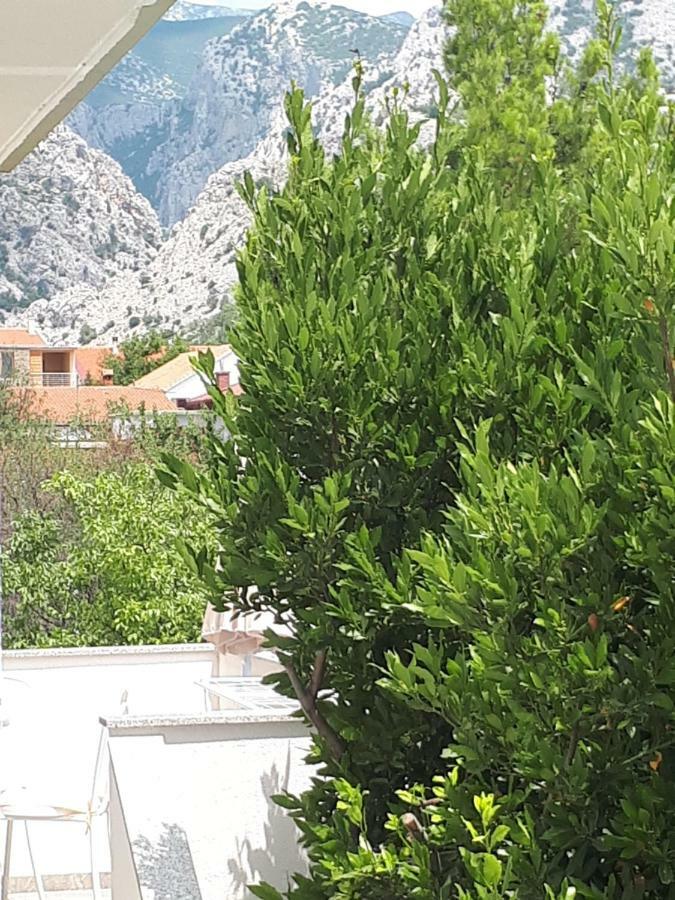 Apartmani Korina Starigrad Paklenica Eksteriør billede