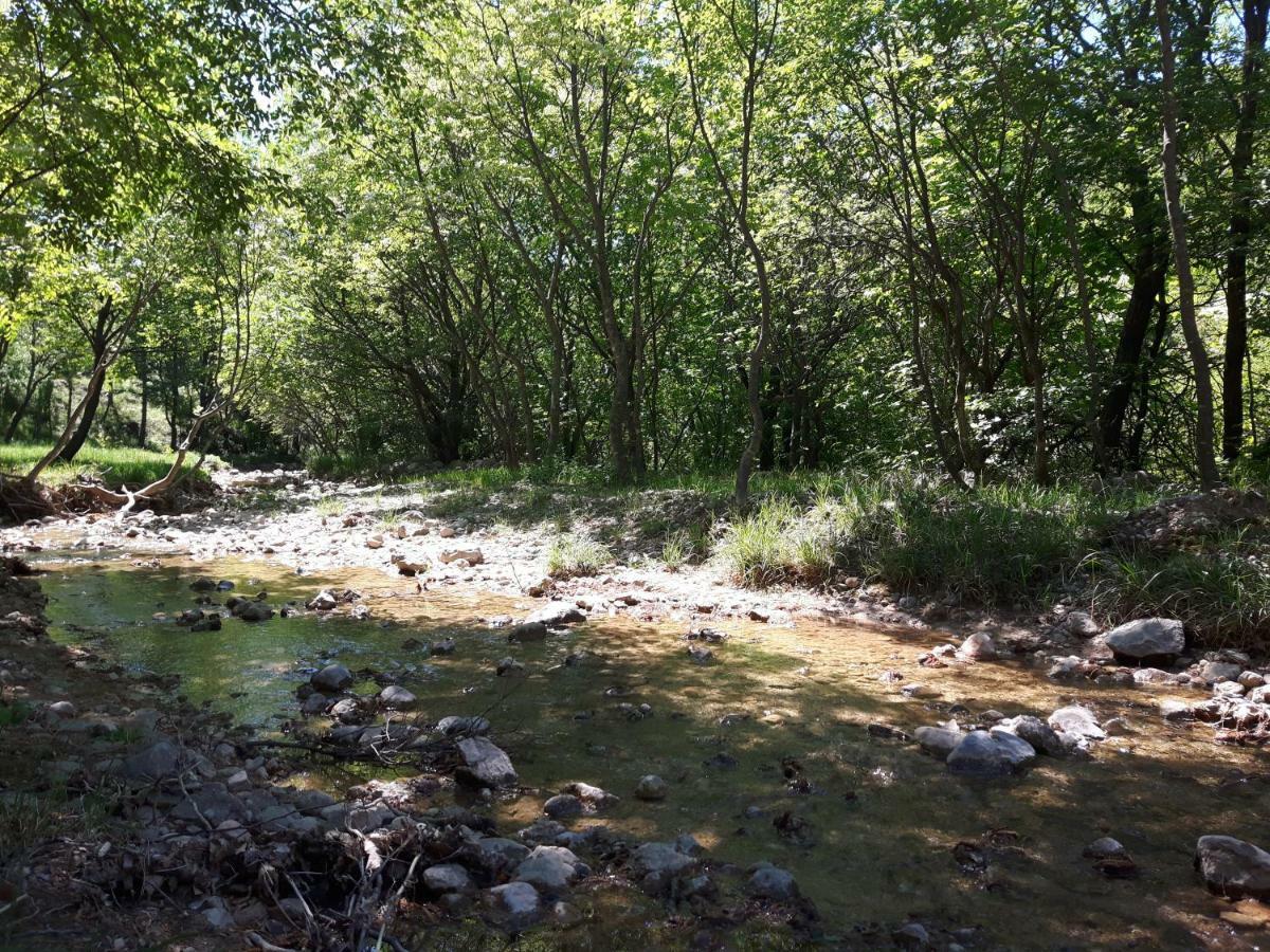 Apartmani Korina Starigrad Paklenica Eksteriør billede