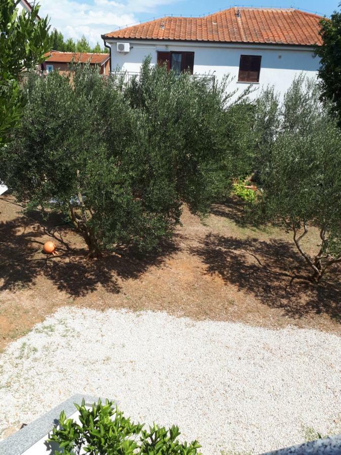 Apartmani Korina Starigrad Paklenica Eksteriør billede